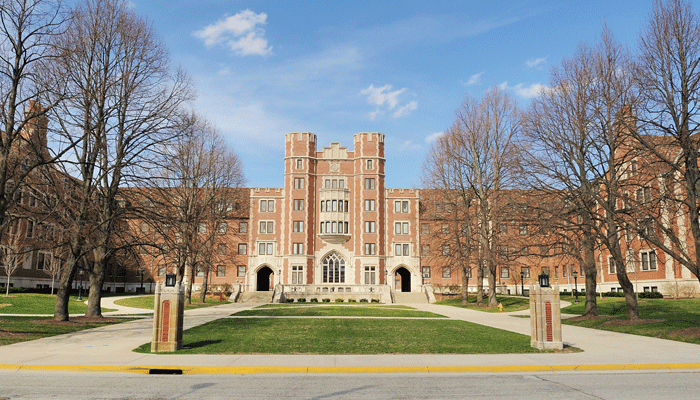 培养综合应用能力